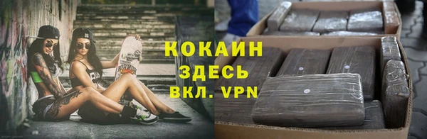 дживик Сафоново