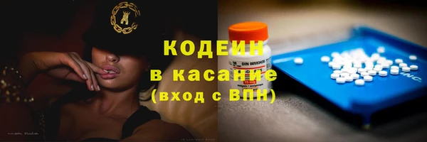 шишки Саяногорск