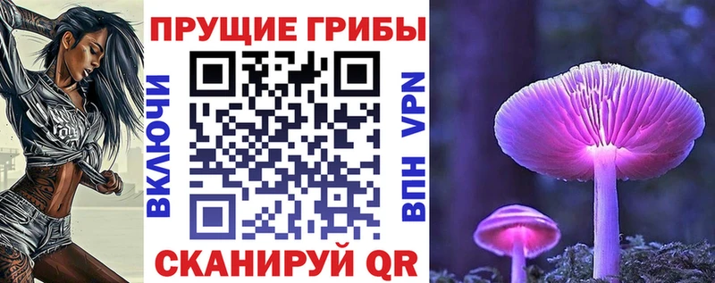 кракен сайт  Весьегонск  Псилоцибиновые грибы мицелий 